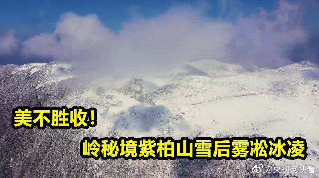 拿破仑：全面战争