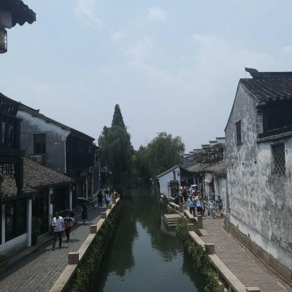 饿狮救援